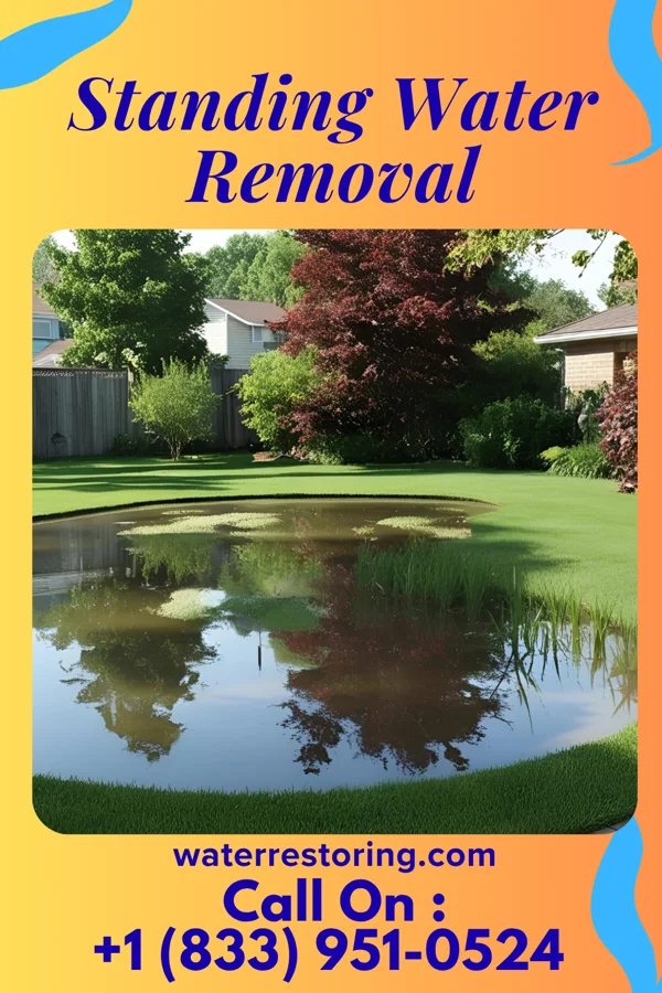 Standing Water Removal in Kettering, OH